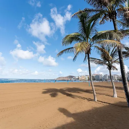 Alia Home, Playa, Canteras, Centro, Ocio *